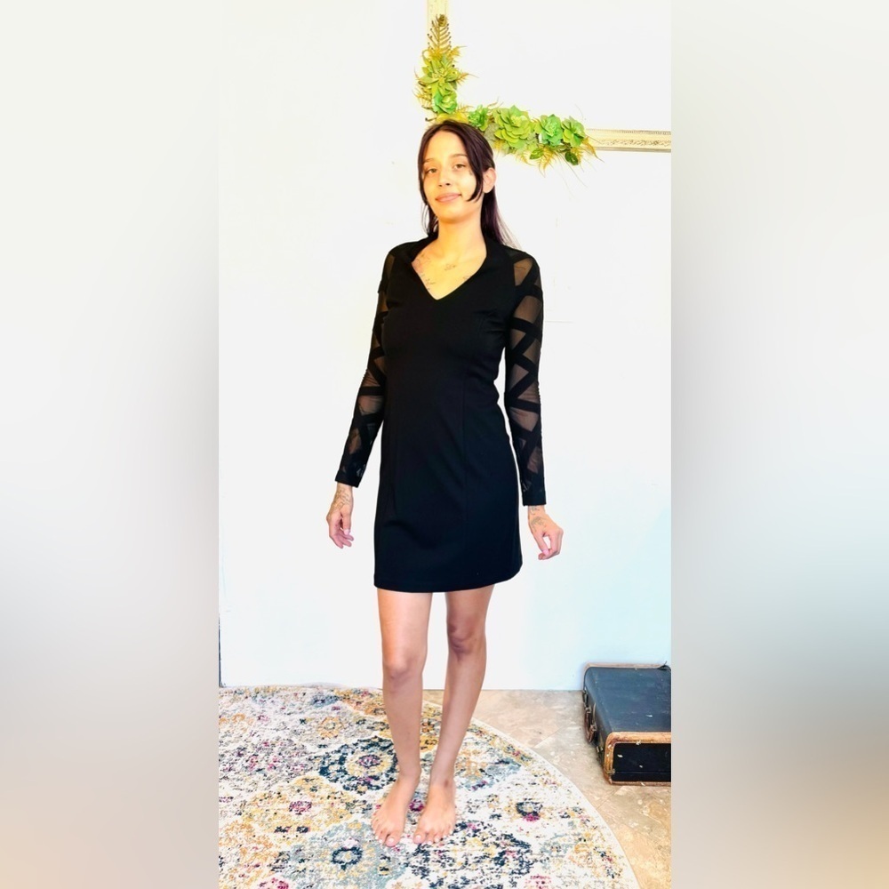 Muse Boston proper exclusive little black dress V neck long sleeve mesh sheer - Picture 2 of 11